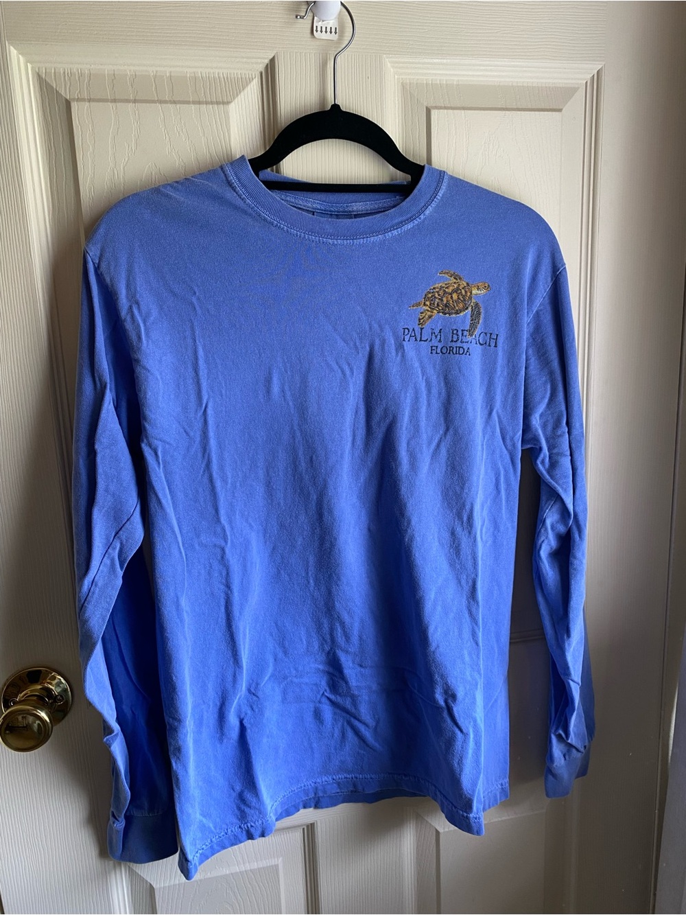 Comfort Colors Palm Beach Turtle Long Sleeve Shirt - Blue